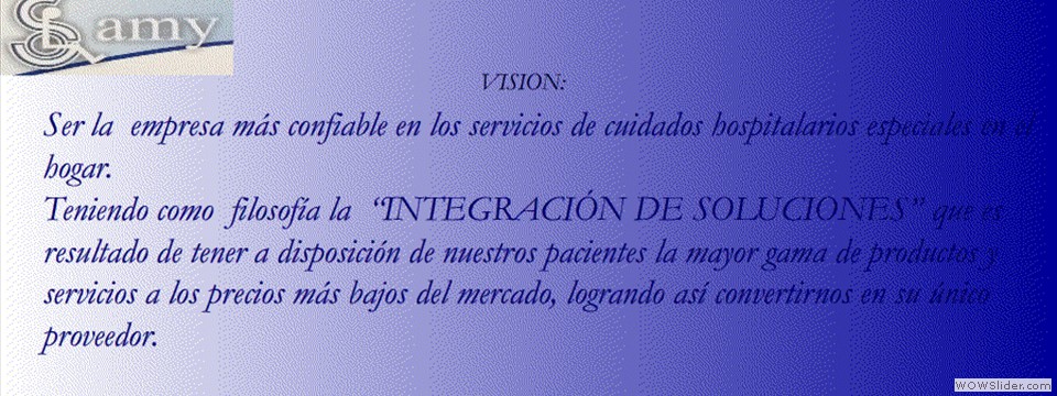 VISION